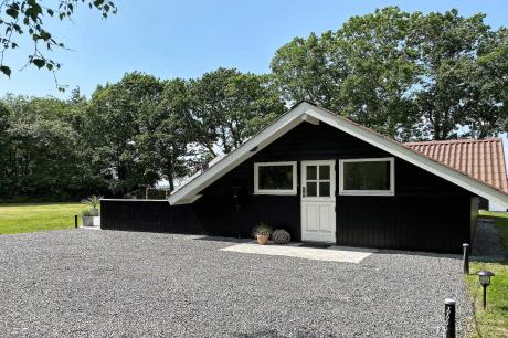 Holiday home Denmark - : 