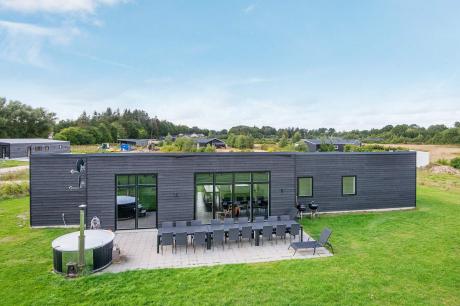 Holiday home Denmark - : 