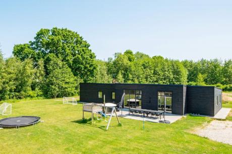 Holiday home Denmark - : 