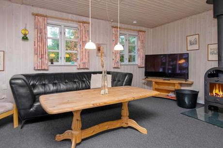 Holiday home Denmark - : 