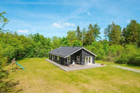 Holiday home Denmark - : 