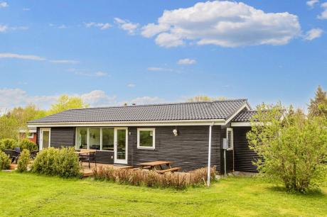 Holiday home Denmark - : 