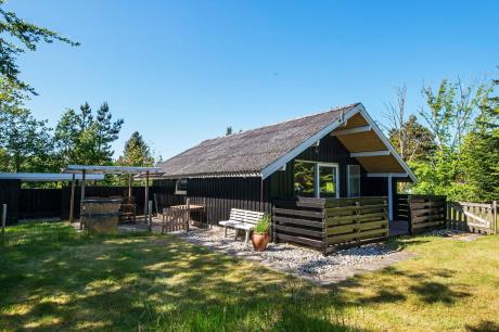 Holiday home Denmark - : 