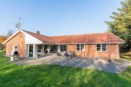 Ferienhaus Denemarken - : 