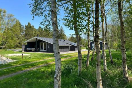 Holiday home Denmark - : 