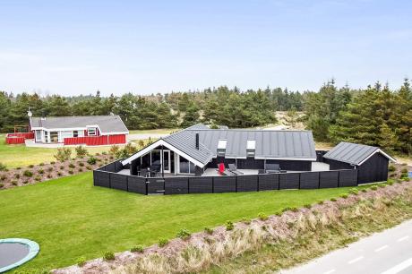 Holiday home Denmark - : 