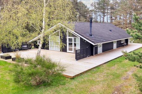 Holiday home Denmark - : 