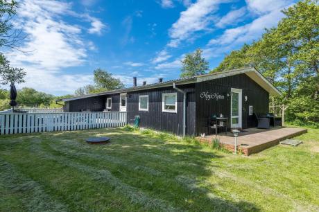 Holiday home Denmark - : 