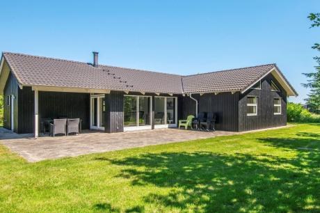 Holiday home Denmark - : 