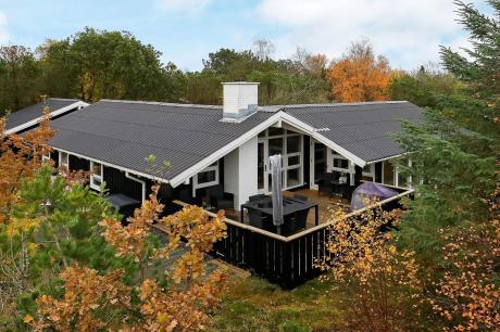 Holiday home Denmark - : 