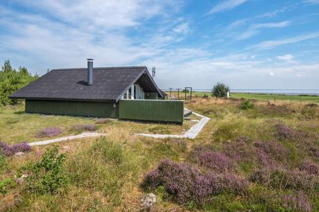 Vakantiehuis Denemarken - : 