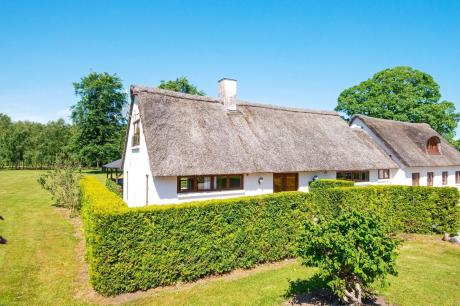 Ferienhaus Denemarken - : 