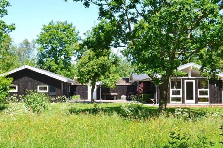 Ferienhaus Denemarken - : 