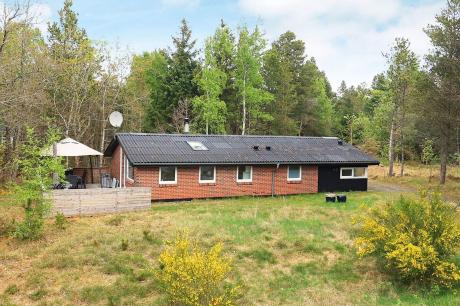 Holiday home Denmark - : 