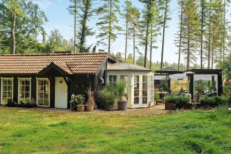 Holiday home Denmark - : 