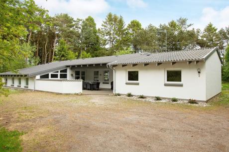 Holiday home Denmark - : 