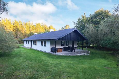 Holiday home Denmark - : 