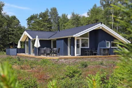 Holiday home Denmark - : 