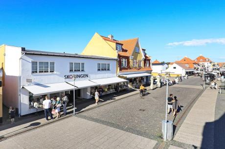 Ferienhaus Denemarken - : 