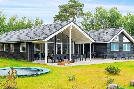 Holiday home Denmark - : 