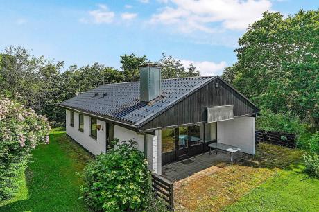 Holiday home Denmark - : 