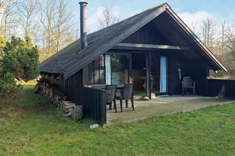 Holiday home Denmark - : 