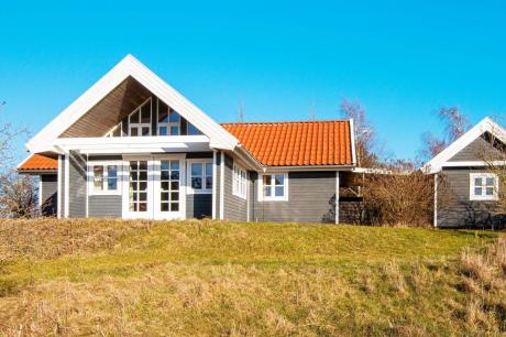 Ferienhaus Denemarken - : 