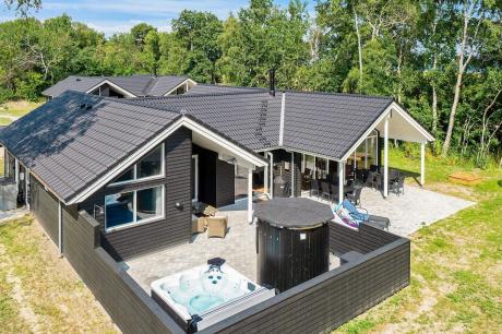 Holiday home Denmark - : 