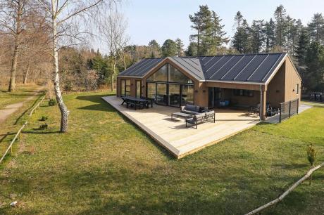 Holiday home Denmark - : 