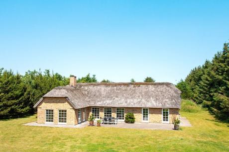 Ferienhaus Denemarken - : 