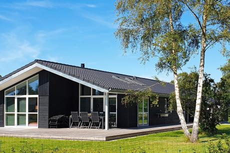 Holiday home Denmark - : 