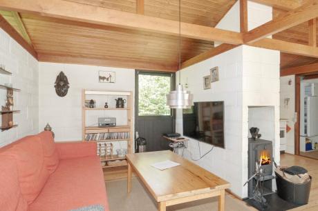 Holiday home Denmark - : 