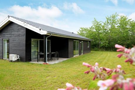 Holiday home Denmark - : 