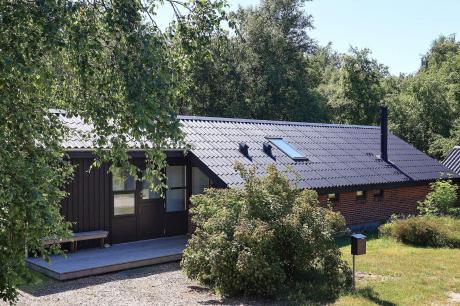 Holiday home Denmark - : 