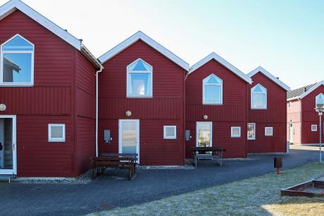 Holiday home Denmark - : 