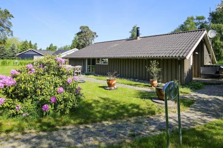 Ferienhaus Denemarken - : 