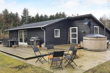 Holiday home Denmark - : 