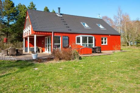 Holiday home Denmark - : 