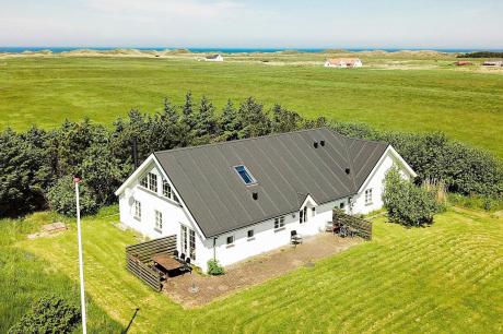 Holiday home Denmark - : 