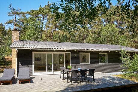 Vakantiehuis Denemarken - : 