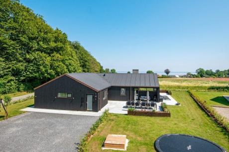 Holiday home Denmark - : 