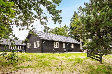 Ferienhaus Denemarken - : 