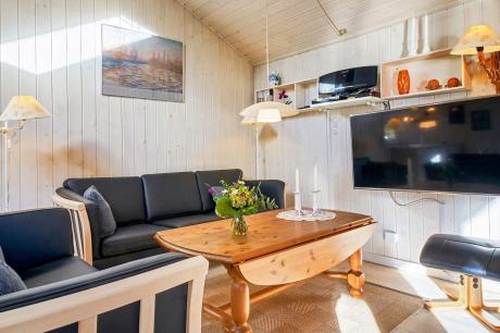 Holiday home Denmark - : 