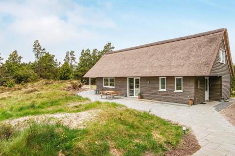 Holiday home Denmark - : 