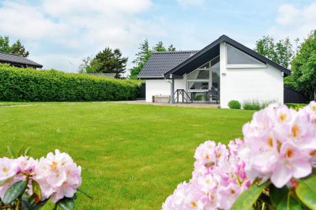 Holiday home Denmark - : 