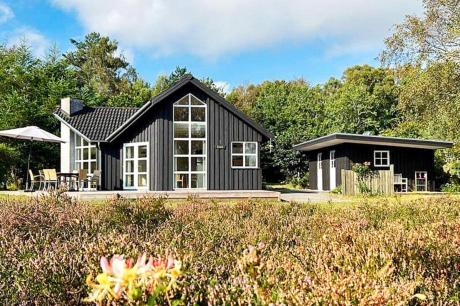 Holiday home Denmark - : 