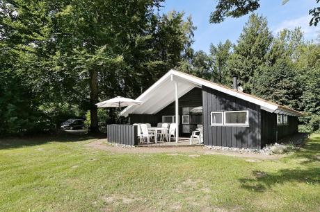 Holiday home Denmark - : 