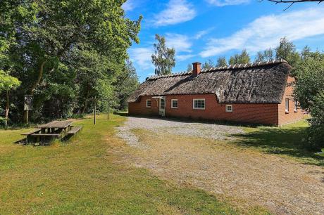 Holiday home Denmark - : 