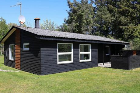 Ferienhaus Denemarken - : 