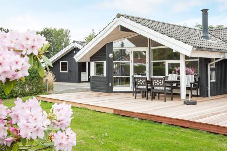 Holiday home Denmark - : 